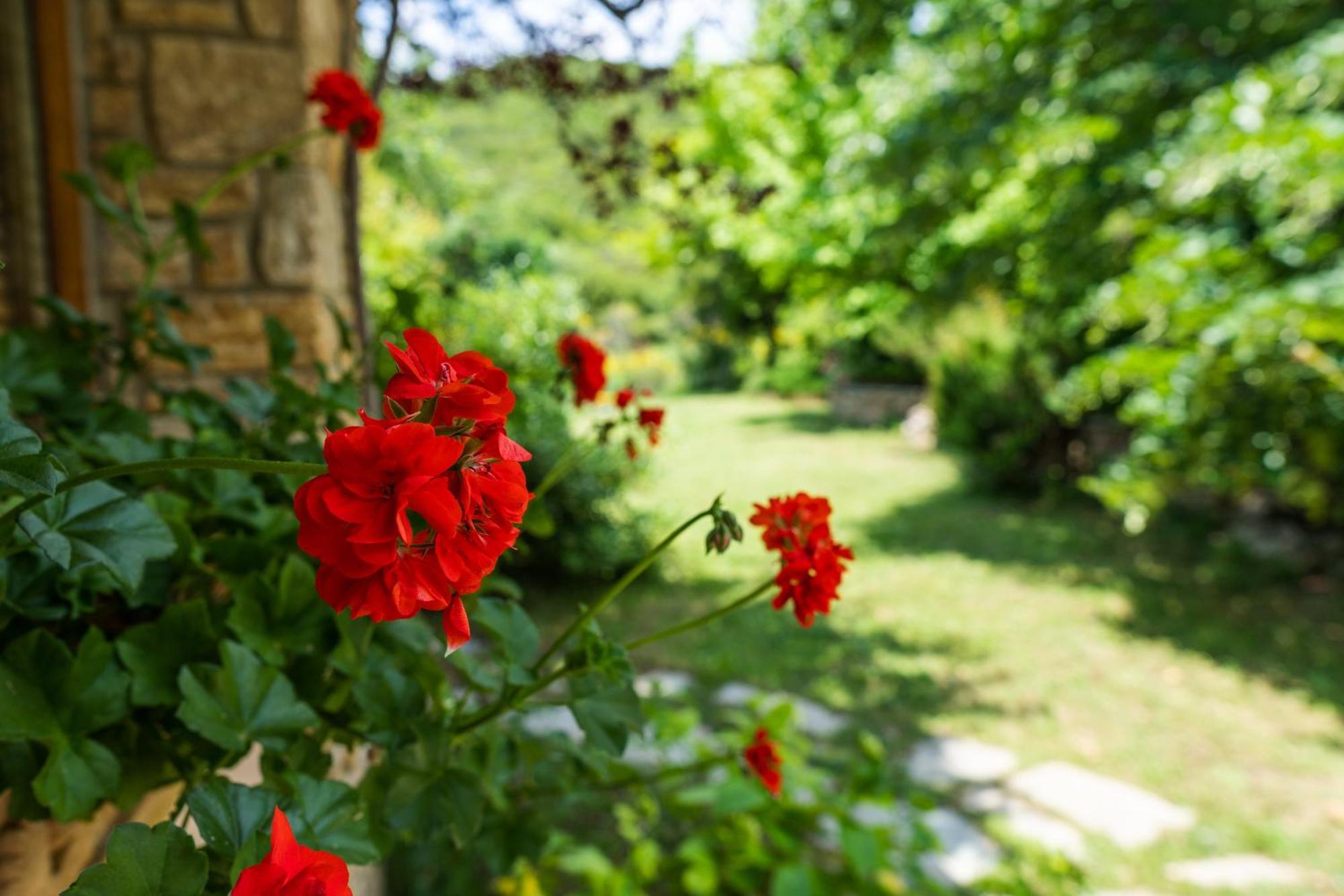 Country Cottage I & Country Cottage II Polygyros Bagian luar foto